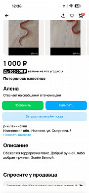 В Иванове из террариума сбежала змея Белла